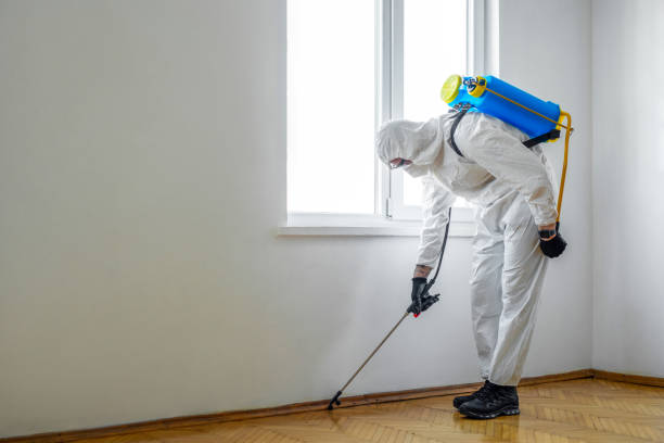 Best Best Pest Control Companies  in Dakota Ridge, CO