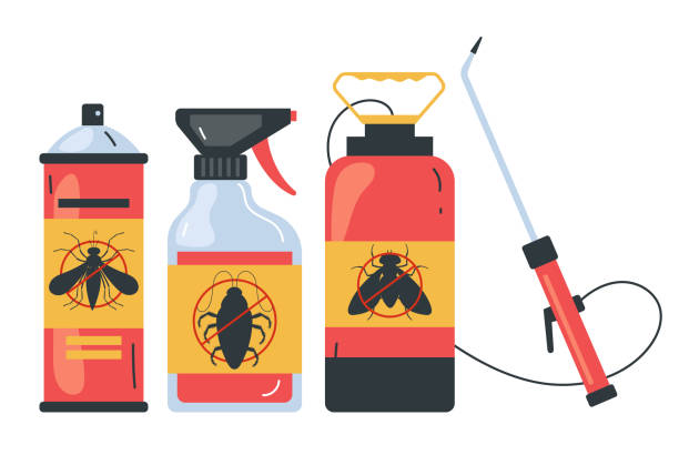 Best Insect Control  in Dakota Ridge, CO